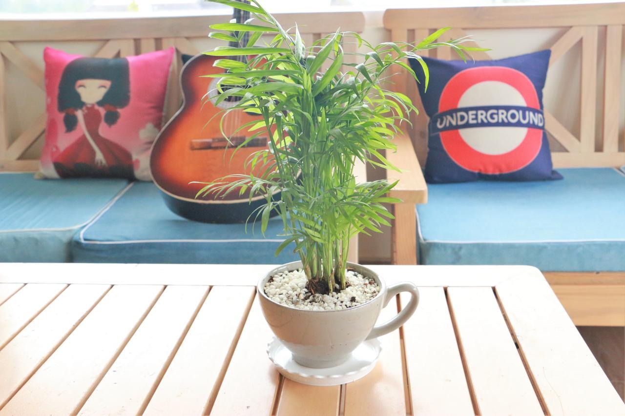 Dalat Eco Home Екстериор снимка